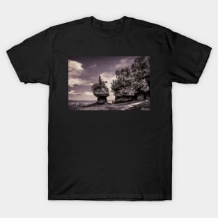 Hopewell Rocks T-Shirt